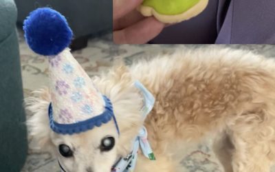 Happy birthday, Opie🎈(10/4)