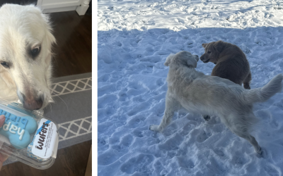 Happy Birthday, Victory!