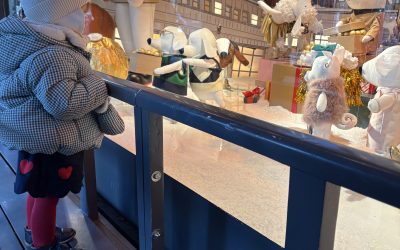 2026-01 Christmas in Paris, back to New York City