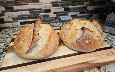 Sourdough