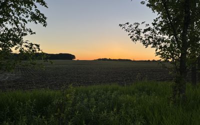 School’s Out for Summer!