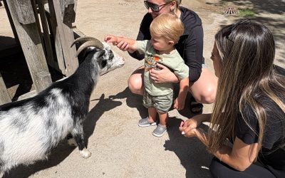 Zoo day