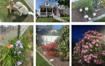 Gardening
