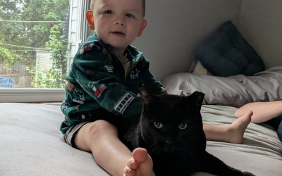 Our Beloved Pets