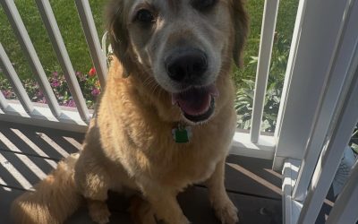 Porch Time