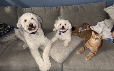 Get To Know Our Boys!