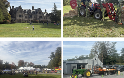 Apple Festival